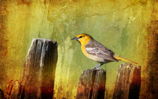 629258 (a): :2560x1600
